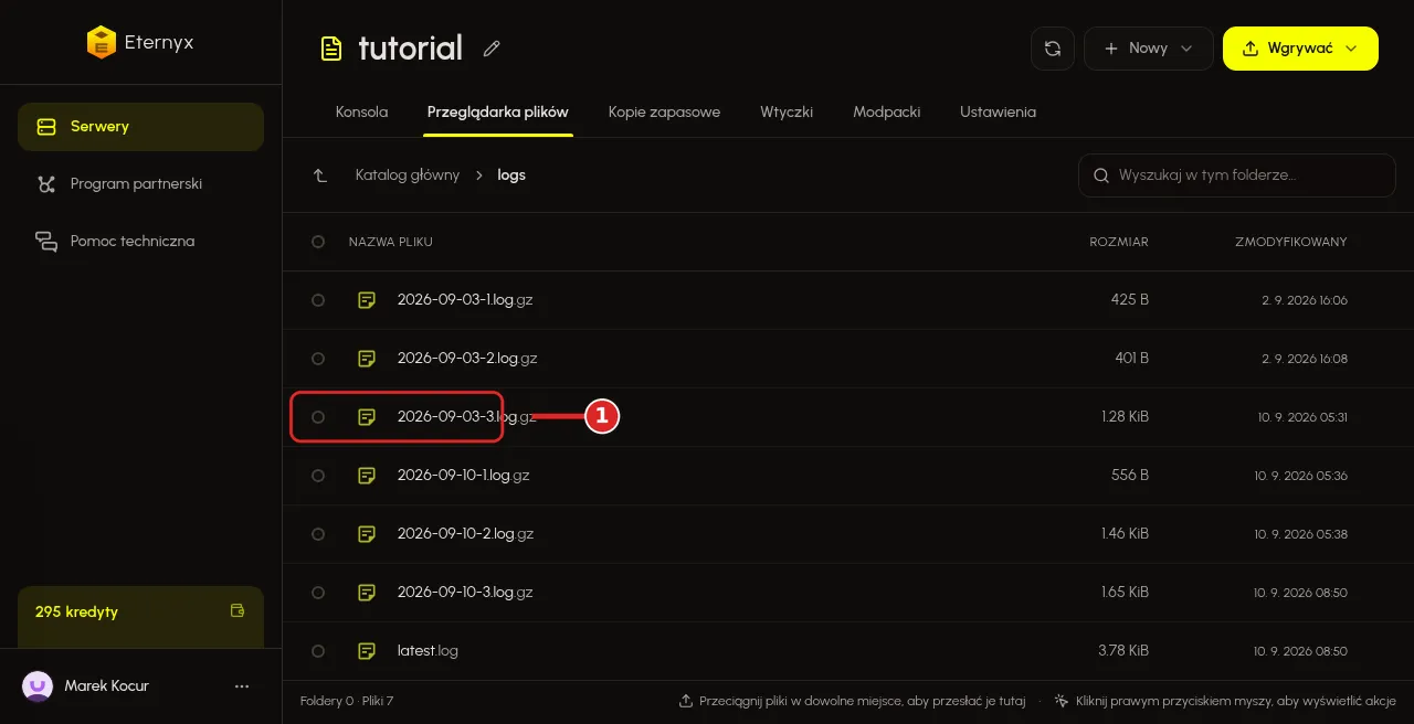 Folder logs w Przeglądarce plików