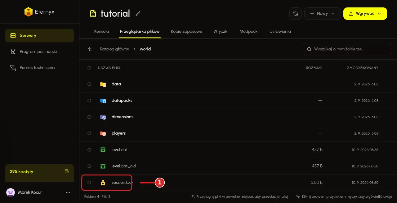 Folder world w Przeglądarce plików