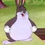 Zdjęcie profilowe: Vita Prochy