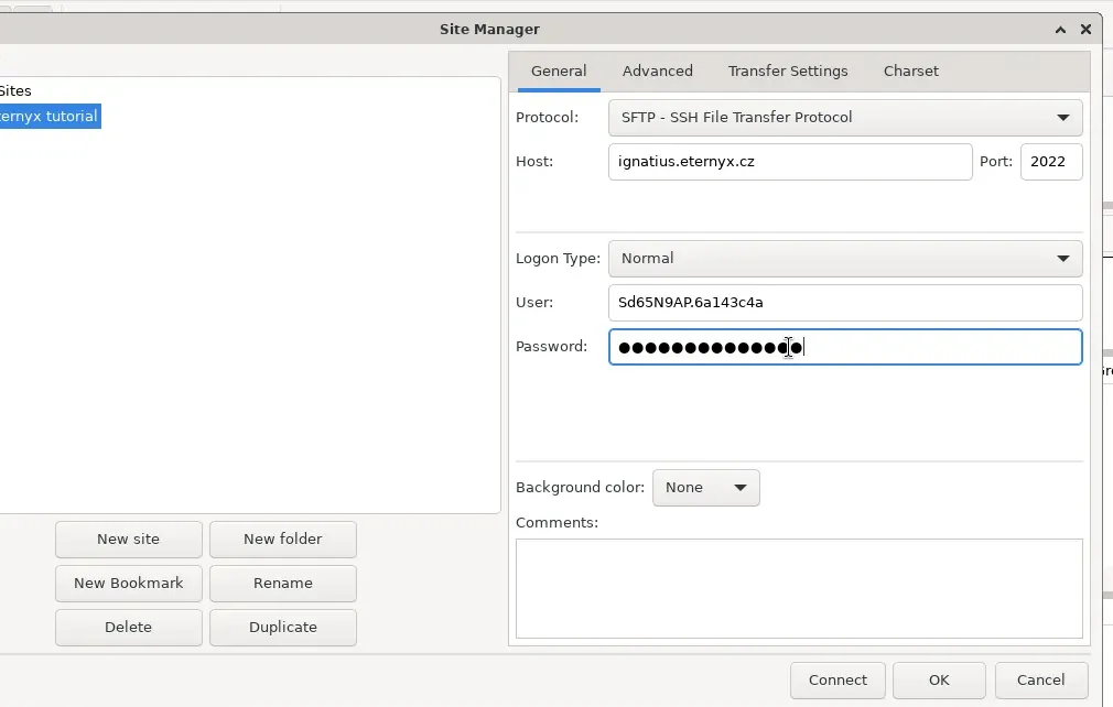 FileZilla Site Manager z protokołem SFTP, hostem ignatius.eternyx.cz i portem 2022